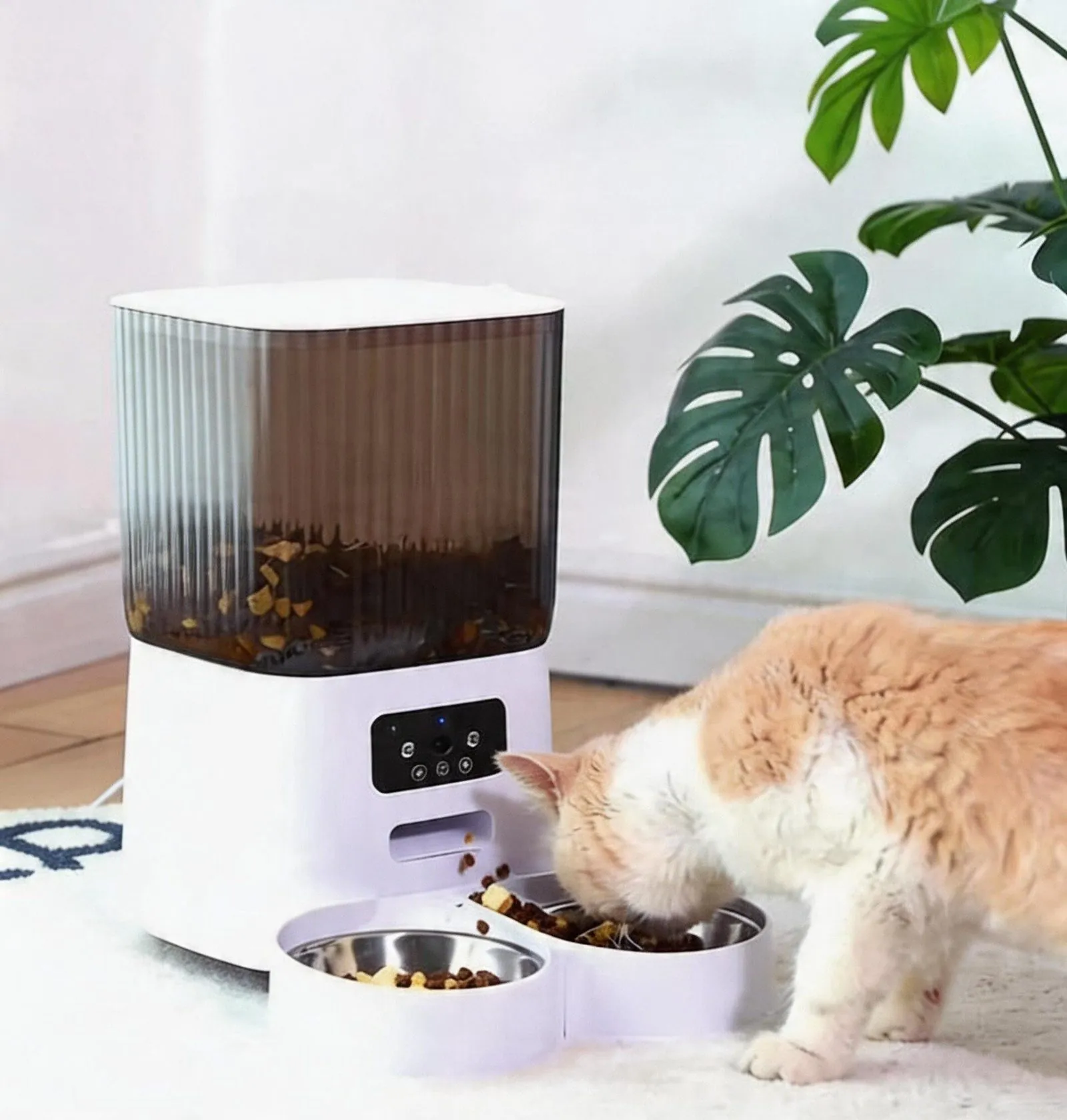 Smart Pet Feeder
